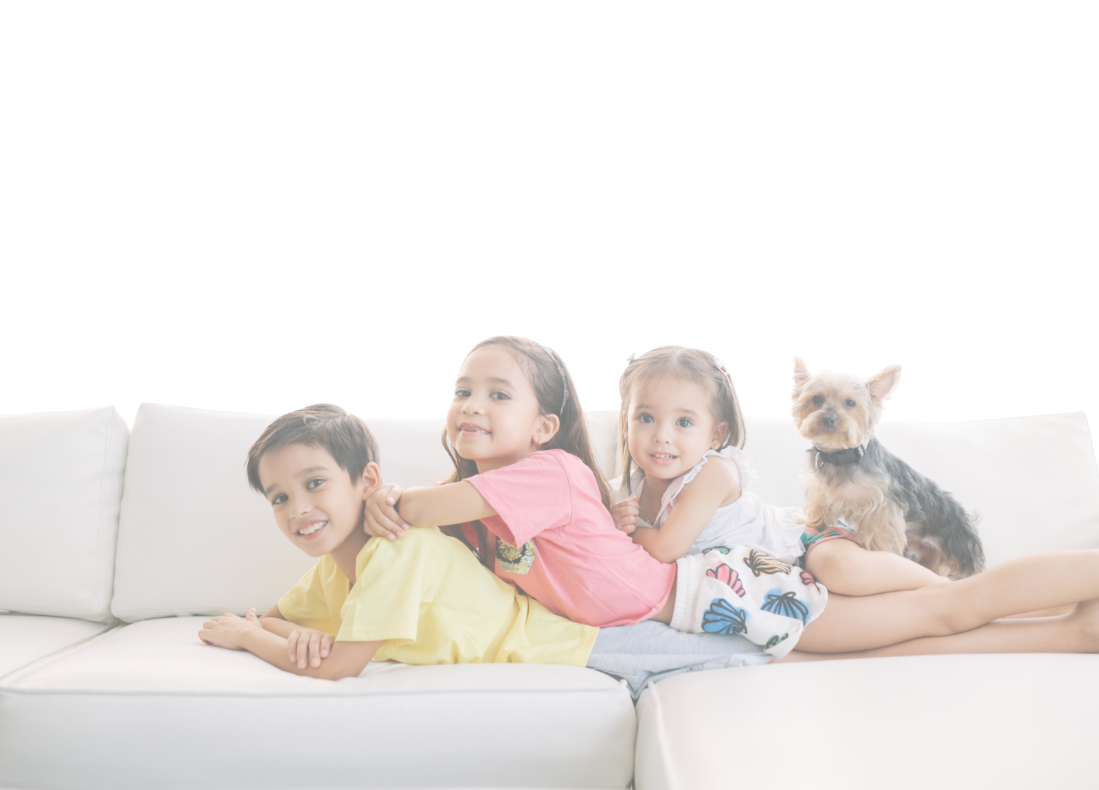 Limpieza segura de tapicería para hogares con niños y mascotas